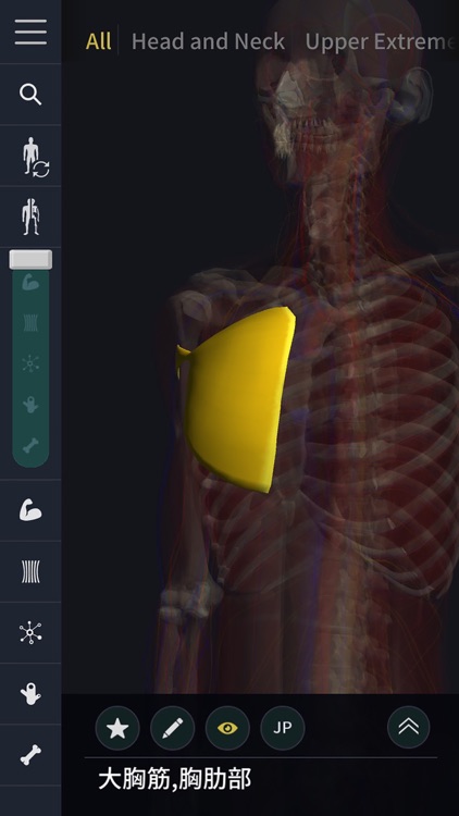 teamLabBody-3D Motion Human Anatomy- screenshot-3