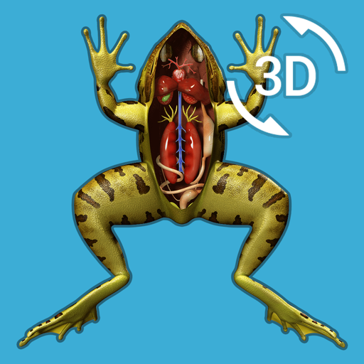 Visual Anatomy - Frog icon
