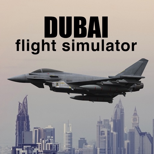 Dubai Flight Simulator Icon