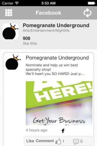 Pomegranate Underground screenshot 3