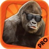 Photo knockout prank - legend of tarzan style lens+selfie sticker maker