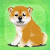 My Dog Life -Japanese Shiba Inu Edition- apk