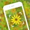 Garden Flower Identification helps you identify plants instantly and gives you detailed information about them