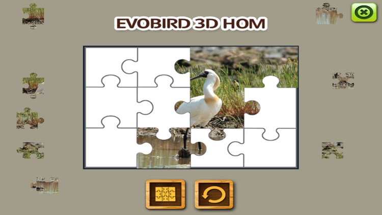 EVOBIRD 3D HOM - B plus AR Book screenshot-3