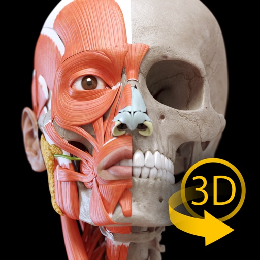 Muscular System - 3D Atlas of Anatomy - Muscles and bones of the human body icon