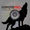 LLamadas y Aullidos de Coyotes REALES - (no hay anuncios) COMPATIBLES CON BLUETOOTH