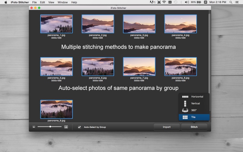 iFoto Stitcher - Make Panorama Photo with Ease thumbnail 2