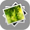 Photo Collage Canvas is a simple and easy collage maker