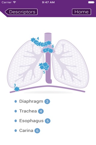 TNM Lung Staging screenshot 3