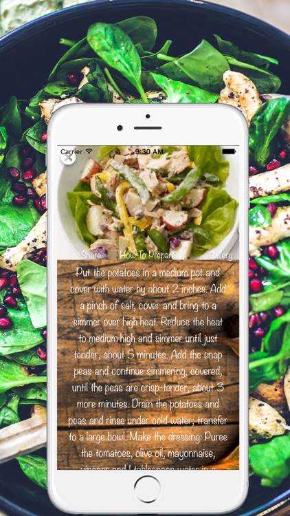 Healthy & Quick Recipes