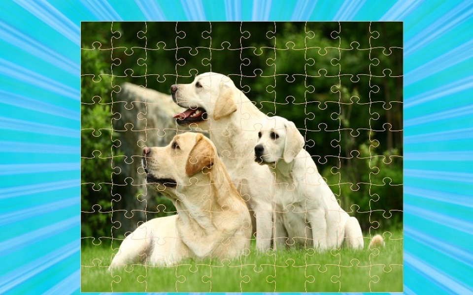 Puppy Dog Jigsaw Puzzle screenshot 2