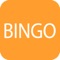 Bingo Themepark Pro - Fun & Free Classic Casino Game