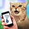 This app is intended for entertainment purposes only and does not provide true Cat Whistle
