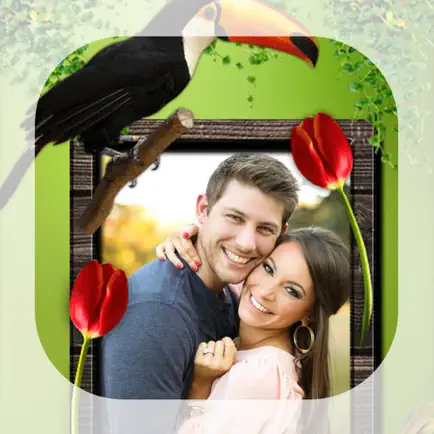 Bird Photo Frames - Make awesome photo using beautiful photo frames Читы