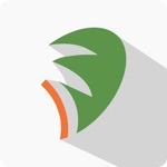 Oasis Education by Tymk