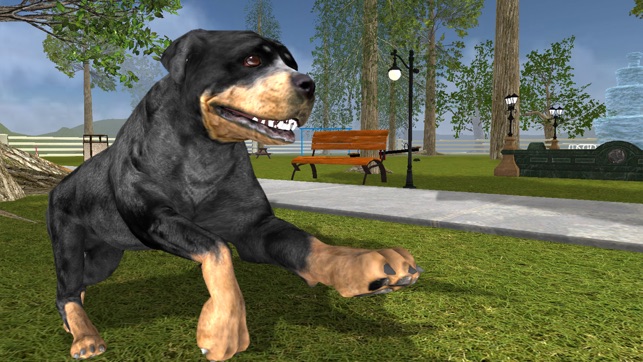 Rottweiler Dog Life Simulator(圖1)-速報App