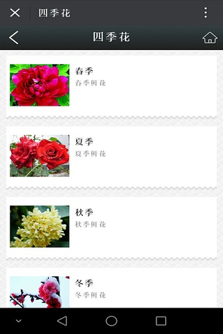 云南鲜花-APP screenshot 4