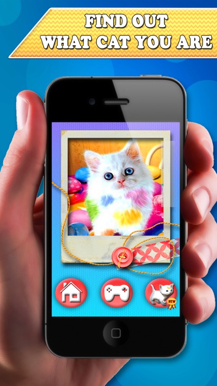 Kitty Face: Face scanner simulator. What cat you are?