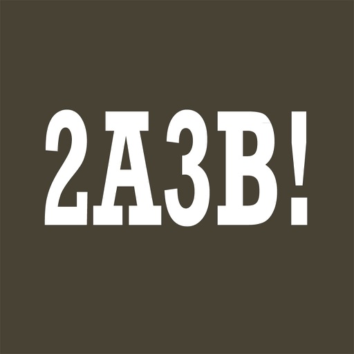 2A3B!-Guessing Number Pro icon