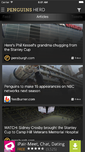 Sports Herder for Penguins