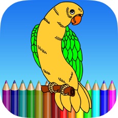 Activities of Bird Coloring Book For Kids