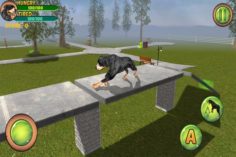 Rottweiler Dog Life Simulator screenshot 3