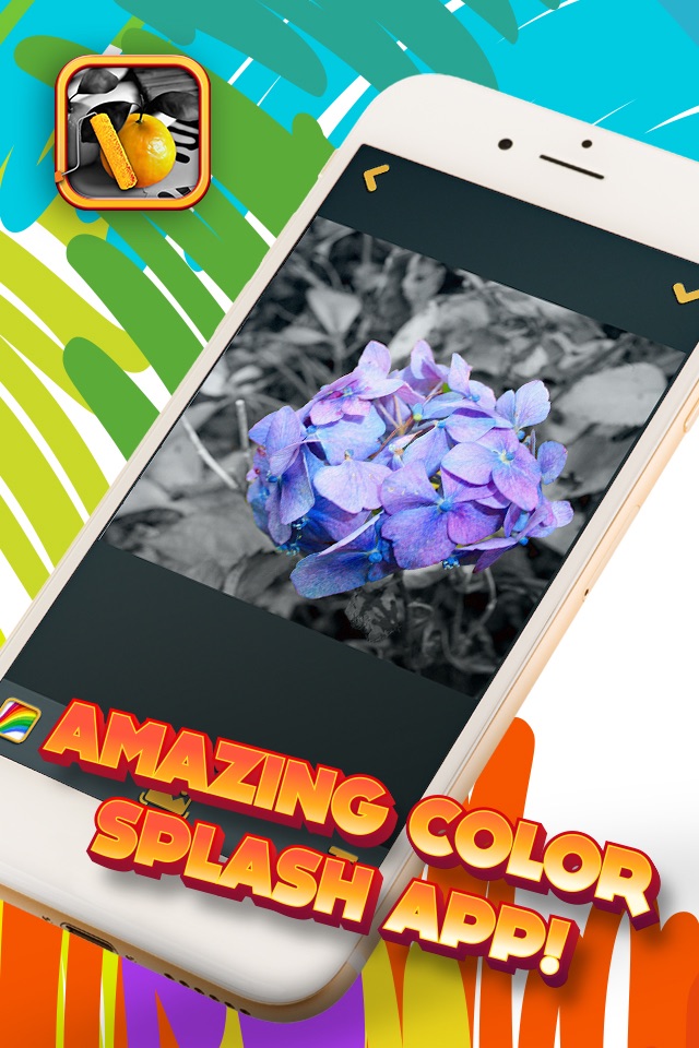 Color Splash Retouch Effects – Black & White Photo Editor with Gray-Scale Filter.s screenshot 2