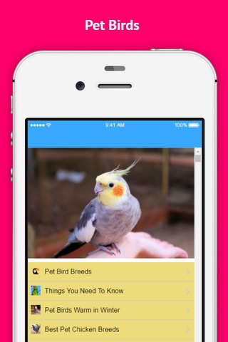 Pet Bird & Breeds - Foreign Birds screenshot 4