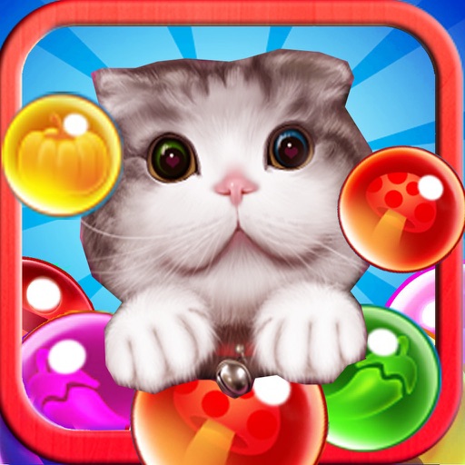 Pop Bubble Pet - Cat Jelly Infinity Mania Shooter icon