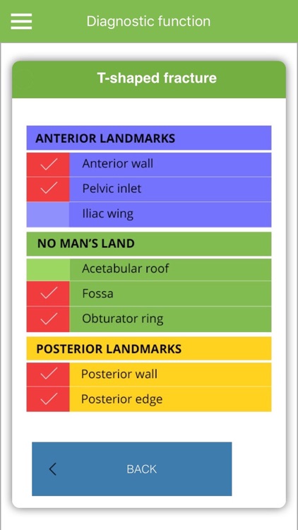 Acetabular Diagnosis Tool screenshot-3