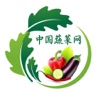 中国蔬菜网.