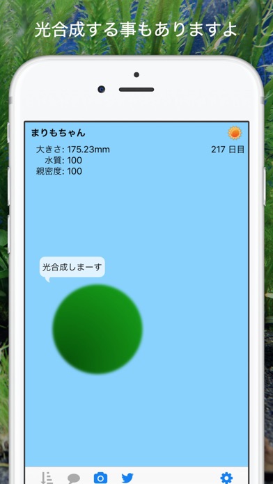 Marimo For Ios Iosx Pro