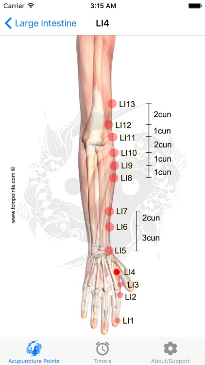 Acupuncture Assistant