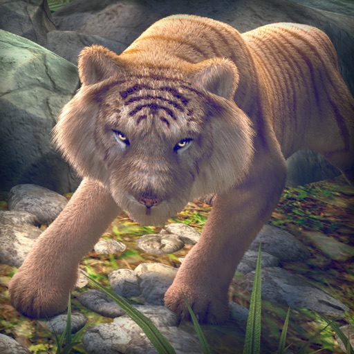 老虎 动物 模拟器 |  全民 虎 运行 游戏 icon