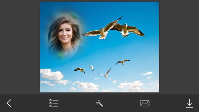 Bird Photo Frames - Creative Frames for your photo(圖2)-速報App