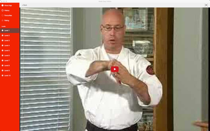 Made Easy! Aikido thumbnail 3