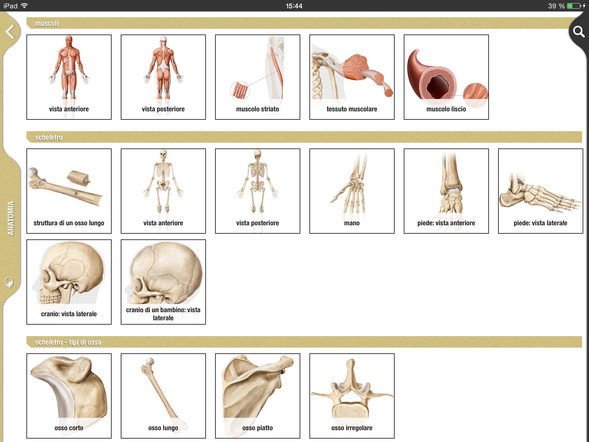 Merriam-Webster The Visual + screenshot 4