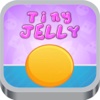 Tiny Jelly Puzzle Game