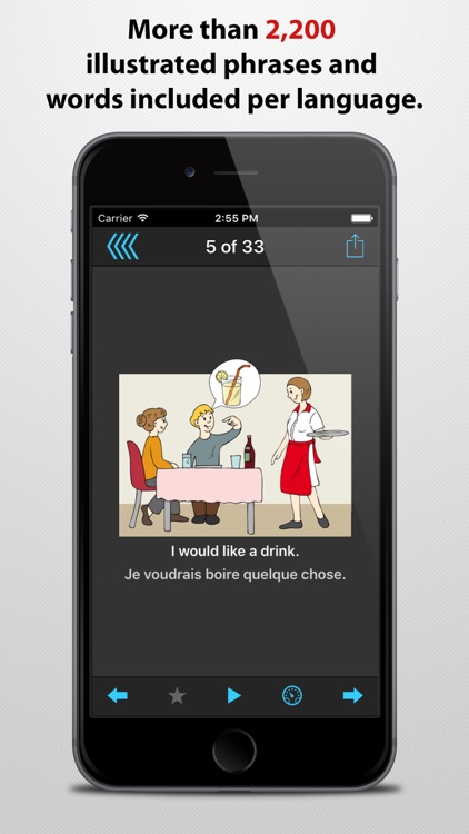 Travel Interpreter - Multilingual Phrasebook