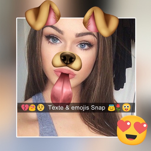 Collage Square Insta No Crop - Doggy Face Snap & Face Swap Stickers