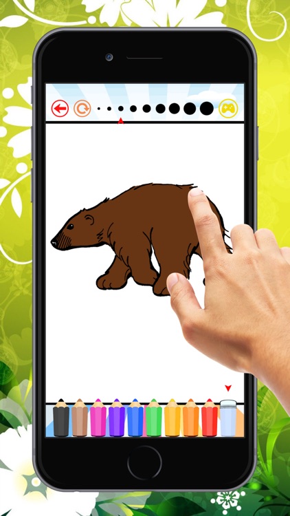 Panda Bear Coloring Book: Learn to Color a Panda, Koala and Polar Bear, Free Games for Children screenshot-3