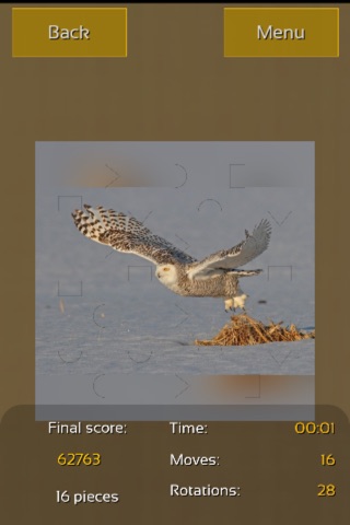 Owls Great Puzzle screenshot 4