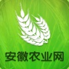 安徽农业网