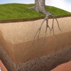 Virtual Reality(VR) Soil Profile