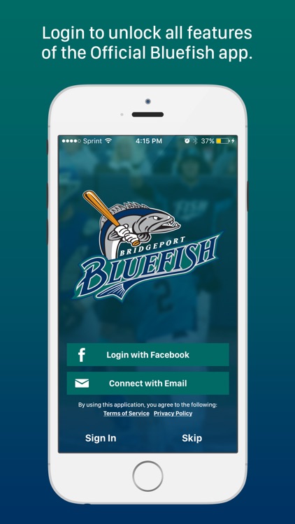 Bridgeport Bluefish