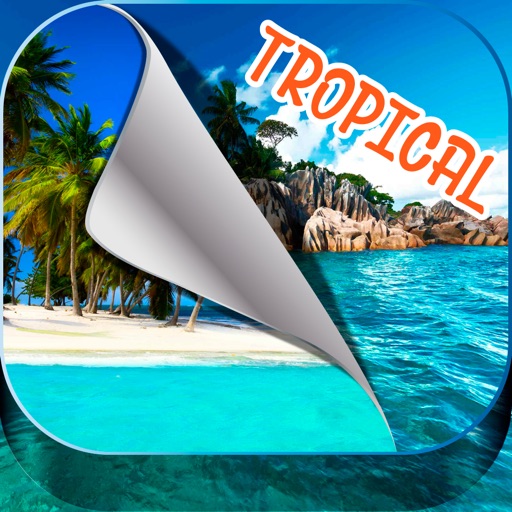 Tropical Island Wallpapers – Beautiful Summer Beach and Palm Trees Pictures iOS App