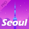 Tour Guide For Seoul Pro