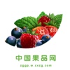 中国果品行业版