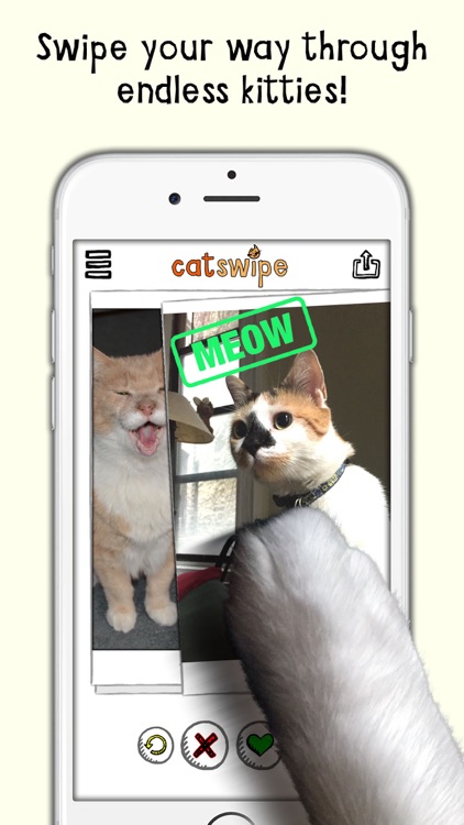 catSwipe - Swipe your way through endless kitties!