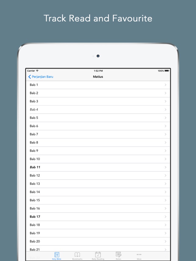 Alkitab Easy To Use Indonesian Bahasa Holy Bible App For Daily Offline Bible Book Reading On The App Store